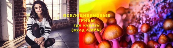 apvp Арсеньев
