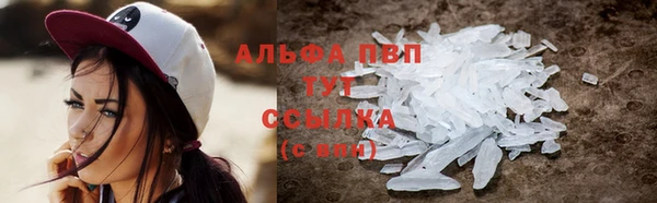 сатива Аркадак
