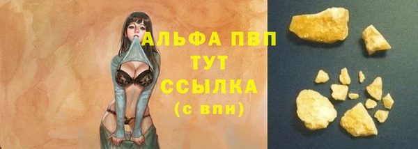 сатива Аркадак