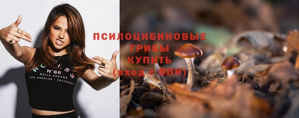 сатива Аркадак