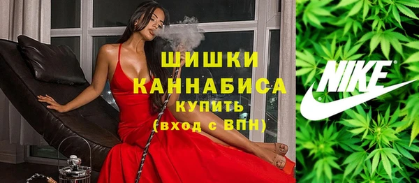 сатива Аркадак