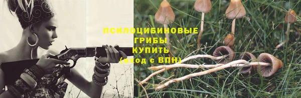 apvp Арсеньев
