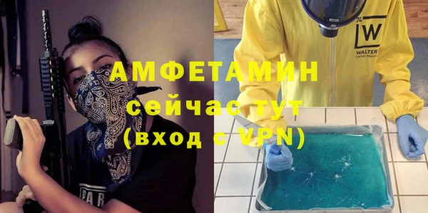 сатива Аркадак