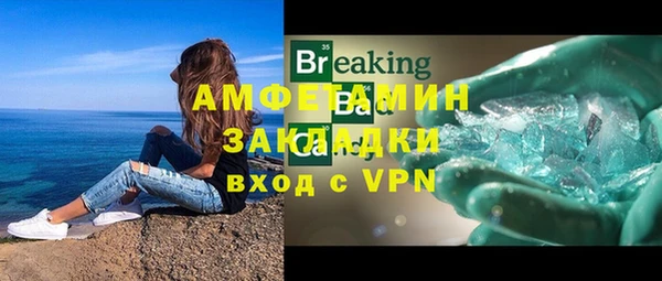 сатива Аркадак