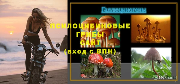 apvp Арсеньев