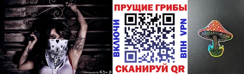 сайты даркнета как зайти  hydra ONION  Псилоцибиновые грибы мицелий  Солигалич  где найти наркотики 